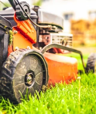 Lawn Levelling